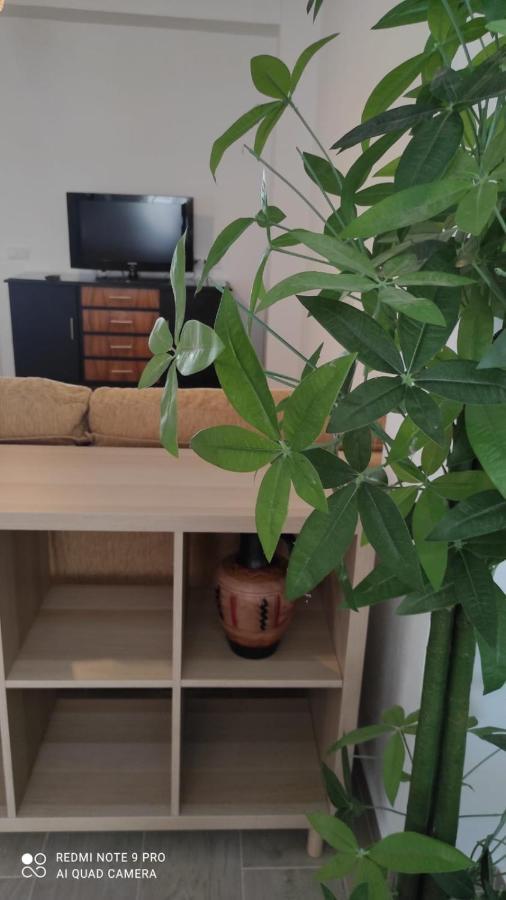 הוילה אלגודונאלס Casa Tia Pilar מראה חיצוני תמונה