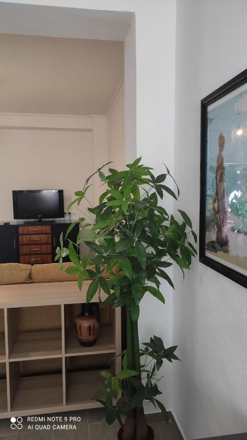 הוילה אלגודונאלס Casa Tia Pilar מראה חיצוני תמונה